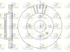 Bremsscheibe Vorderachse ROADHOUSE 6096.10