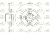 Bremsscheibe Hinterachse ROADHOUSE 61058.00