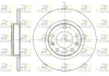 Bremsscheibe Hinterachse ROADHOUSE 61555.00