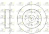 Bremsscheibe Hinterachse ROADHOUSE 6448.00