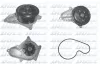 Wasserpumpe, Motork&uuml;hlung DOLZ H146