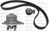 Wasserpumpe + Zahnriemensatz DOLZ KD057