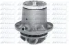 Wasserpumpe, Motork&uuml;hlung DOLZ M185