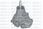 Wasserpumpe, Motorkühlung DOLZ R301