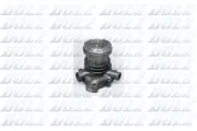 Wasserpumpe, Motorkühlung DOLZ S319