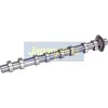Nockenwelle Auslassseite JAPANPARTS AA-PE003 Bild Nockenwelle Auslassseite JAPANPARTS AA-PE003