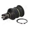 Trag-/F&uuml;hrungsgelenk Vorderachse oben JAPANPARTS BJ-251