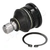 Trag-/Führungsgelenk Vorderachse JAPANPARTS BJ-800 Bild Trag-/Führungsgelenk Vorderachse JAPANPARTS BJ-800