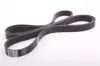 Keilrippenriemen JAPANPARTS DV-6PK2095