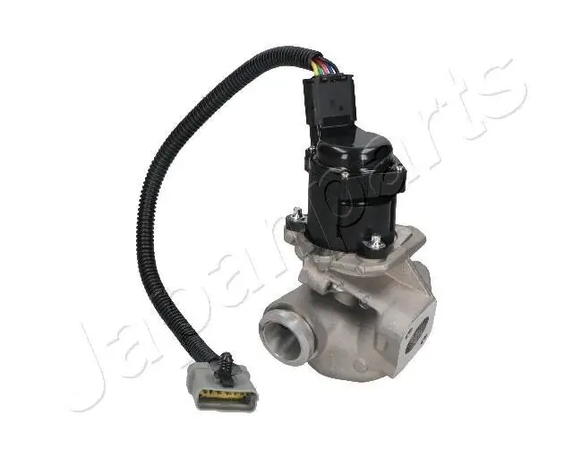 AGR-Ventil JAPANPARTS EGR-0306