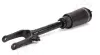 Luftfederbein vorne JAPANPARTS MM-AS181