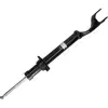 Sto&szlig;d&auml;mpfer Vorderachse links JAPANPARTS MM-AS417