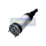 Luftfederbein Vorderachse rechts JAPANPARTS MM-AS480