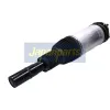 Luftfederbein Vorderachse rechts JAPANPARTS MM-AS480 Bild Luftfederbein Vorderachse rechts JAPANPARTS MM-AS480