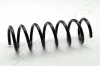 Fahrwerksfeder Hinterachse JAPANPARTS ZC6268A