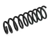 Fahrwerksfeder Hinterachse JAPANPARTS ZC7081A