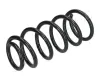 Fahrwerksfeder Hinterachse JAPANPARTS ZC7144A