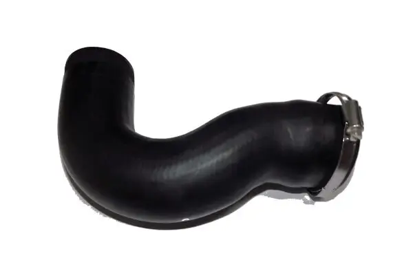 Ladeluftschlauch rechts BUGIAD 81649