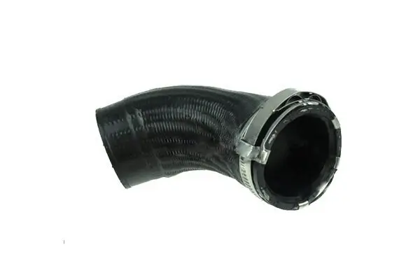 Ladeluftschlauch BUGIAD 81677