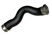 Ladeluftschlauch BUGIAD 81728