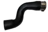 Ladeluftschlauch oben BUGIAD 81749
