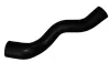 Ladeluftschlauch BUGIAD 81829