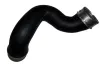 Ladeluftschlauch rechts BUGIAD 81860