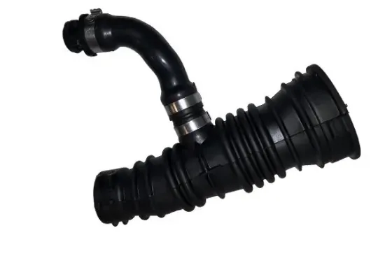 Ansaugschlauch, Luftfilter BUGIAD 81877 Bild Ansaugschlauch, Luftfilter BUGIAD 81877