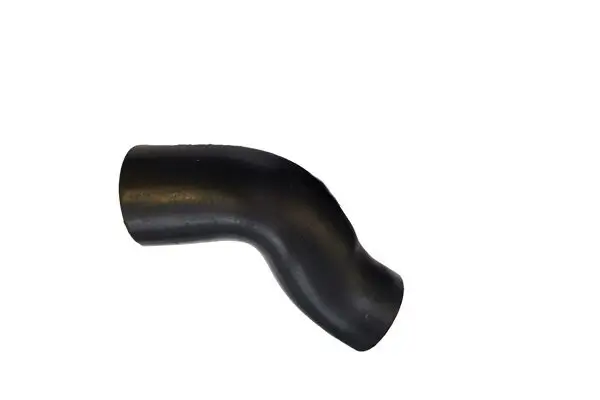 Ladeluftschlauch BUGIAD 81900