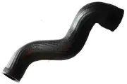 Ladeluftschlauch links BUGIAD 81990