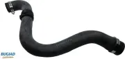Ladeluftschlauch BUGIAD 82043