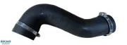 Ladeluftschlauch BUGIAD 82203