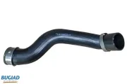 Ladeluftschlauch BUGIAD 82210