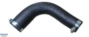 Ladeluftschlauch BUGIAD 82246
