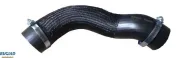 Ladeluftschlauch BUGIAD 82316