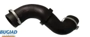 Ladeluftschlauch BUGIAD 82381