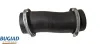 Ladeluftschlauch BUGIAD 82477