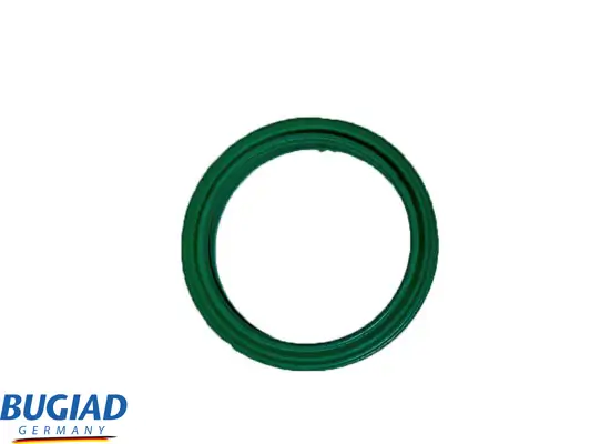 Ladeluftschlauch BUGIAD 82568