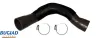 Ladeluftschlauch BUGIAD 82582