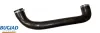Ladeluftschlauch BUGIAD 82584