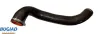Ladeluftschlauch BUGIAD 82595