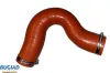 Ladeluftschlauch BUGIAD 82599