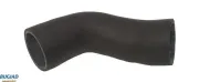 Ladeluftschlauch BUGIAD 82628