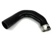 Ladeluftschlauch BUGIAD 82779