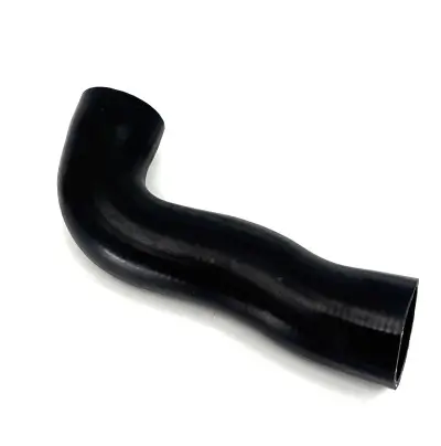 Ladeluftschlauch BUGIAD 82787