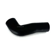 Ladeluftschlauch BUGIAD 82795