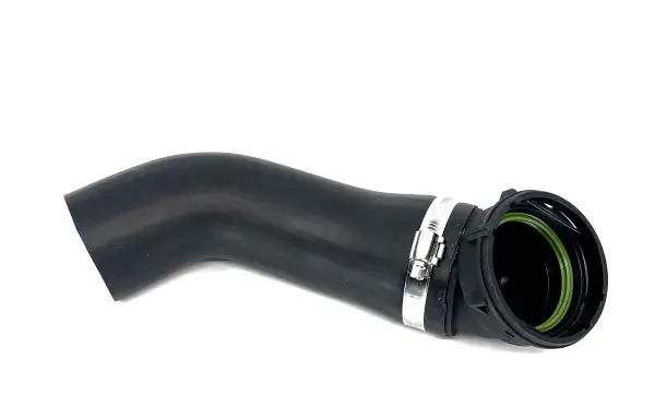 Ladeluftschlauch BUGIAD 82811