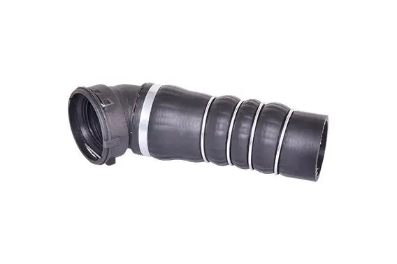 Ladeluftschlauch Ladeluftkühler BUGIAD 84631