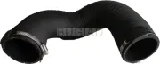 Ladeluftschlauch BUGIAD 86647