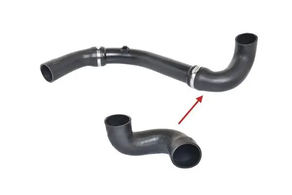 Ladeluftschlauch BUGIAD 88592